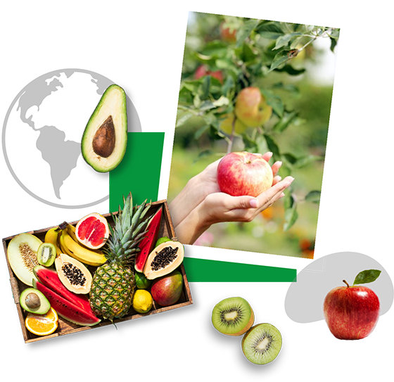 frutas